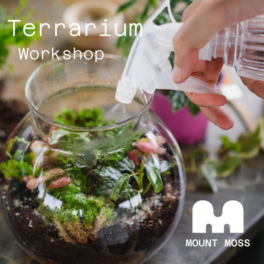 Terrarium Workshop